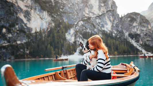 Take Your Pet Anywhere: Why the Travel Backpack Carrier Is a Must-Have