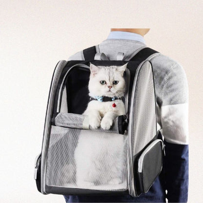 Innovative Traveler Bubble Backpack Pet Carriers for Cats and Dogs (Black)
