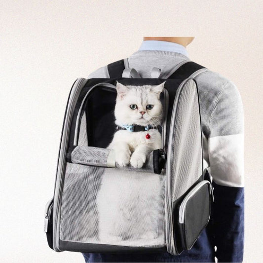 Innovative Traveler Bubble Backpack Pet Carriers for Cats and Dogs (Black)
