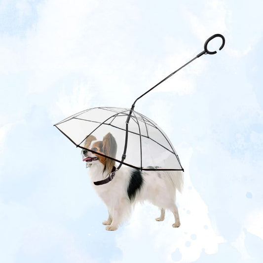 Dog Umbrella
