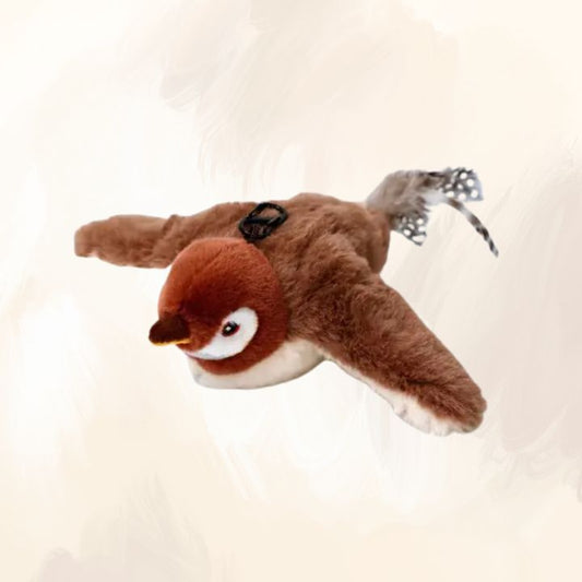 Pet Plush Toy